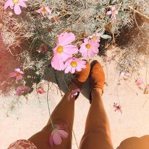 Meet your Posher, Rey